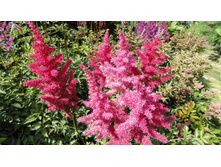 ����� � ����2.JPG