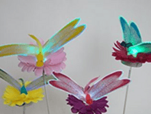 �������� �� �������