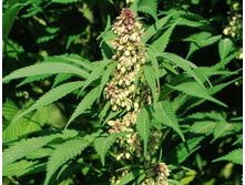 ����� ���������� �����. 100 �� - 238 ���. � ������� 700 ��.jpg