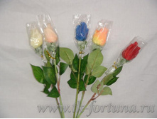 18-186 ���� � ������������, 48 ��. 59.80