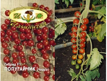 ����� ���������� 8 ���. �������� 2 ��..jpg