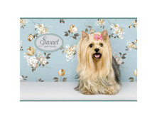 ������ ��� ��������� 40�. �4 �� ������� �������. Sweet pets, 34,20.jpg