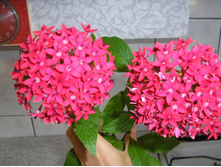 ������  .....