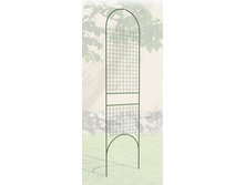 ������� ����� ���������