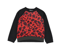 ����� - ���� 15-16 ������� ��-2608-2 1120/1220+%