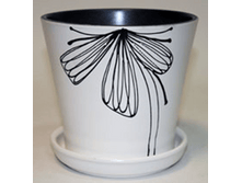 4312 �����