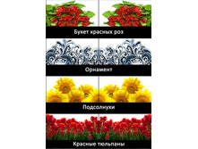 ���� ����� -4