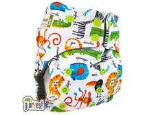 ������ premium.jpg