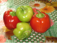 ����� "�����"IMG 0684.JPG