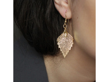 ��. ���� ����