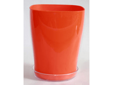 ���� �/�������� ���� �����