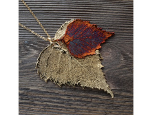 ����� "���� ������" ������-����, ���������.