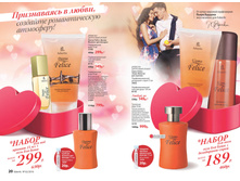 Cat-02-2016-small 11.jpg