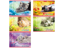 ������ ��� ��������� 20�. �4 �� ������� ������ 22,51.jpg