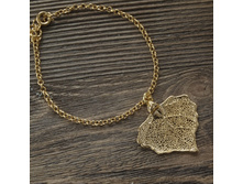 ������� "���� ������" ������, ���������.