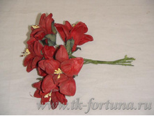 ��-242 ������ ������������� "�����" 10*6 ��., ������, ������ ( ���� �� 6 ���� ) 25.00