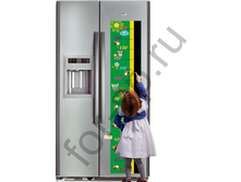 ��� ����