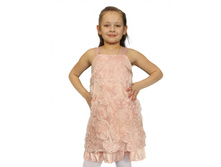 ���. ����