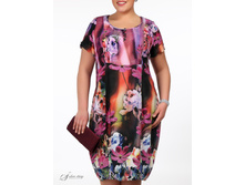 ������ 2605255-56.jpg