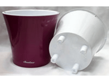 ���� ������-�����