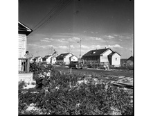 1950 ���. ������� ������ ������������������. �.�������������.jpg