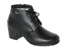 447 ���� ������