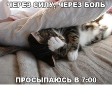 ������� ����)