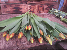 IMG 20160211 090529.jpg