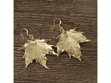 ������ "���� ��������� ���� " ������, ���������