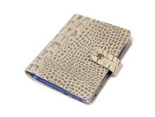 009687 big 11124006 09.JPG