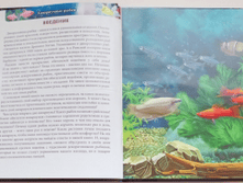 1453468995 4fdb2dae935037358d5f0d312f234c37.png