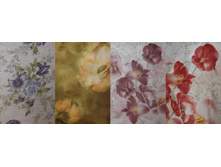 ���� �����