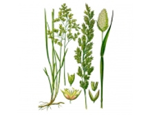 ��������, �����, ������ ����, 20 � ��������, �����, ������ ����, 20 � ������