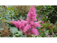 ���� ��� ���