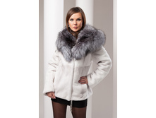 S-81 ���� ���� � �����������