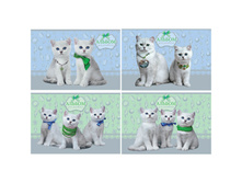 ������ ��� ��������� 24�. �4 �� ������� ����� ������ 25,14.jpg