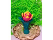 ������� �������� - 120 ���.