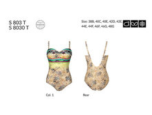 S803T  ���. ����