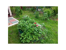 ������� 5-�������.jpg