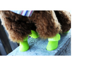 � ����.����