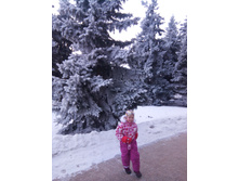 IMG 20150123 142439.jpg