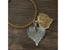 ������� "���� ������" ������ - �������, ���������.