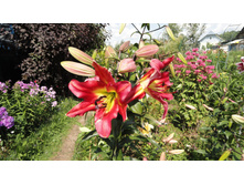 ����� ����������