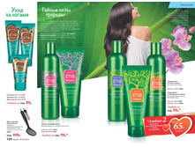 Cat-02-2016-small 63.jpg