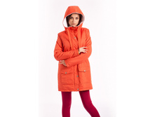 CLOYING ����� 8223 �������: №8223 ������: 100% ���������