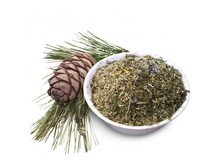 ��� �� ���� "��������� �������", 75 �. ������������ �������