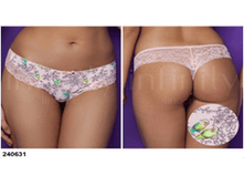 240631 �������