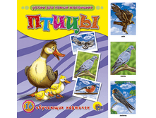 1448449068 46add3322cc8036fa4bcc9b14cda63f5.png