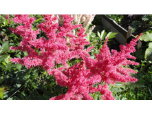 � ������3.JPG