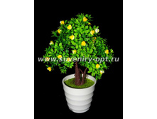 ������ ����� 25�� ��-5060 255���..jpg